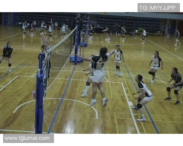 重庆排球队的默契配合与战术分析探索排球运动的魅力与团队精神