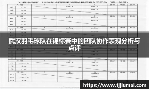 武汉羽毛球队在锦标赛中的团队协作表现分析与点评