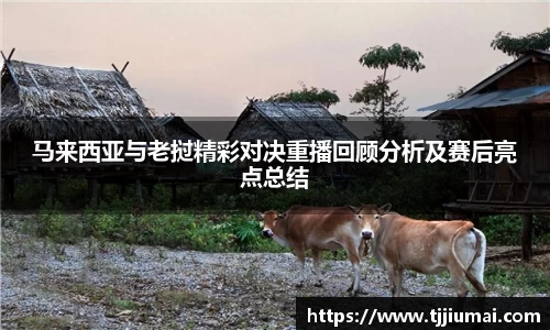 马来西亚与老挝精彩对决重播回顾分析及赛后亮点总结